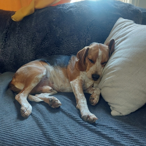 Meet your Posher, Katrina - Picture 4 of 8